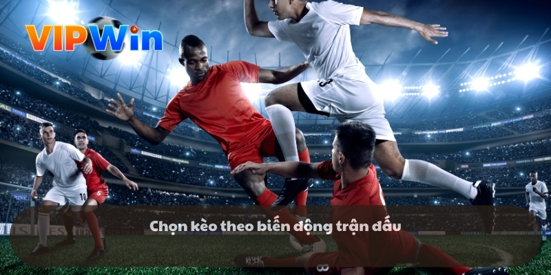 Lý do mọi người yêu thích kèo lựa là gì?