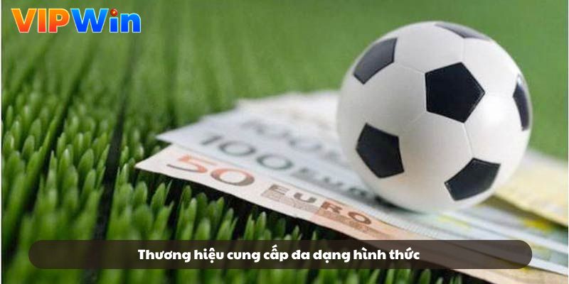 Thương hiệu cung cấp đa dạng hình thức